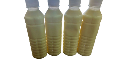 Sữa bắp (chai)